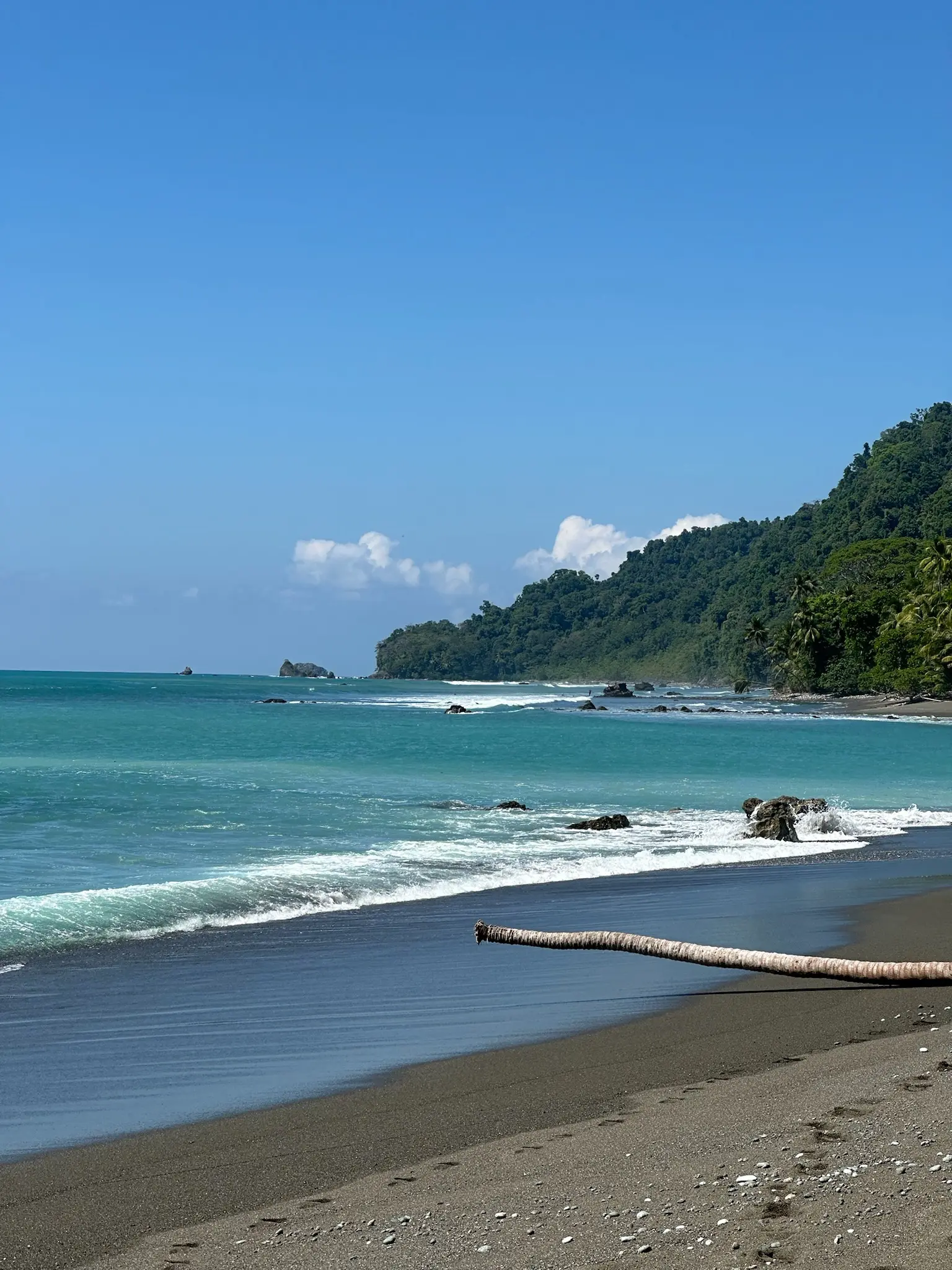 Pristine rainforest beaches